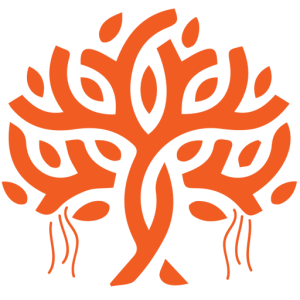 Vital India